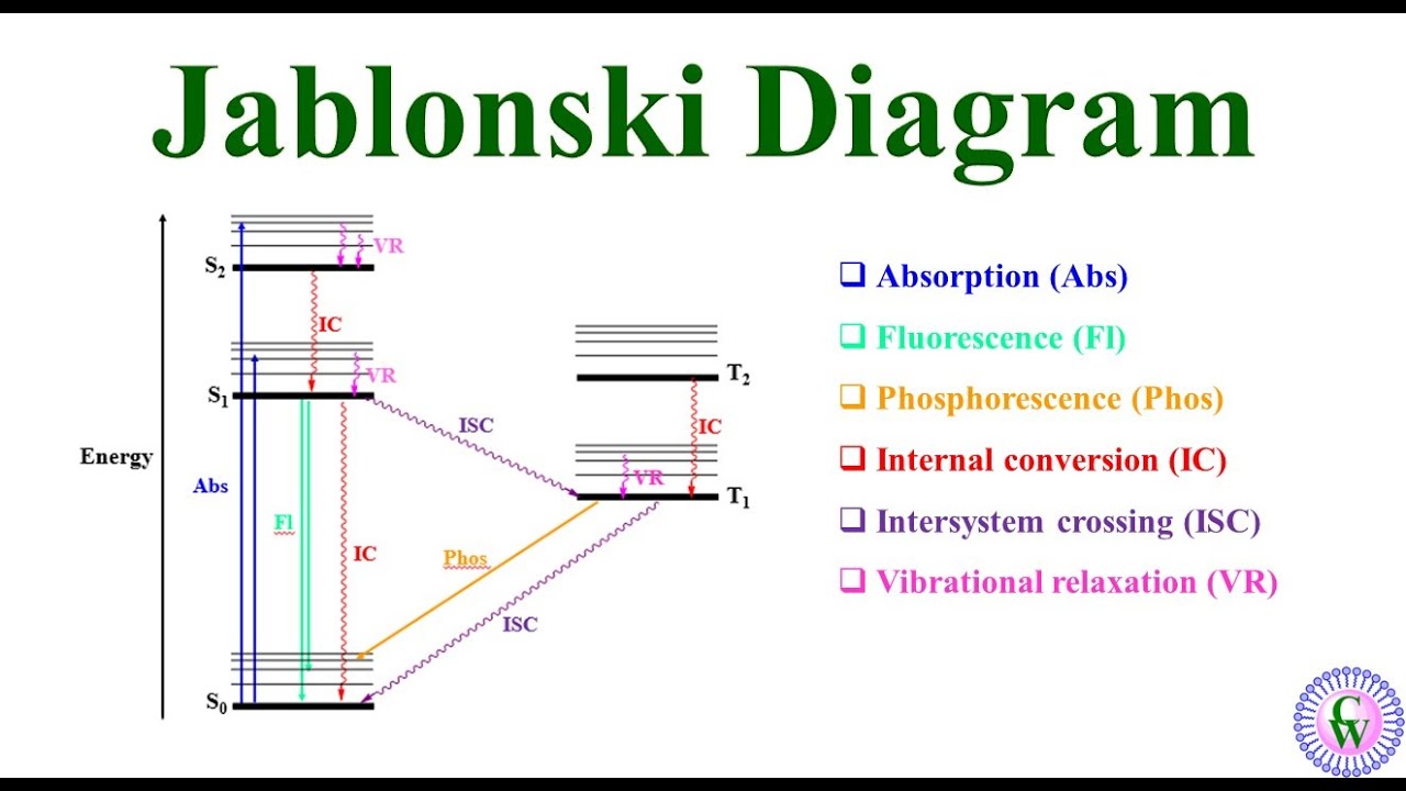 jablonski diagram 3d-printing resin fluorescence phosphorescence