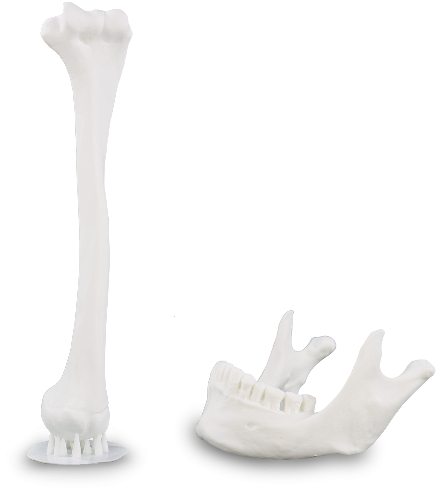 Liqcreate fotopolímero resina ingeniería joyería dental flexible resistente fuerte compuesto elástico flexible elastómero poco olor