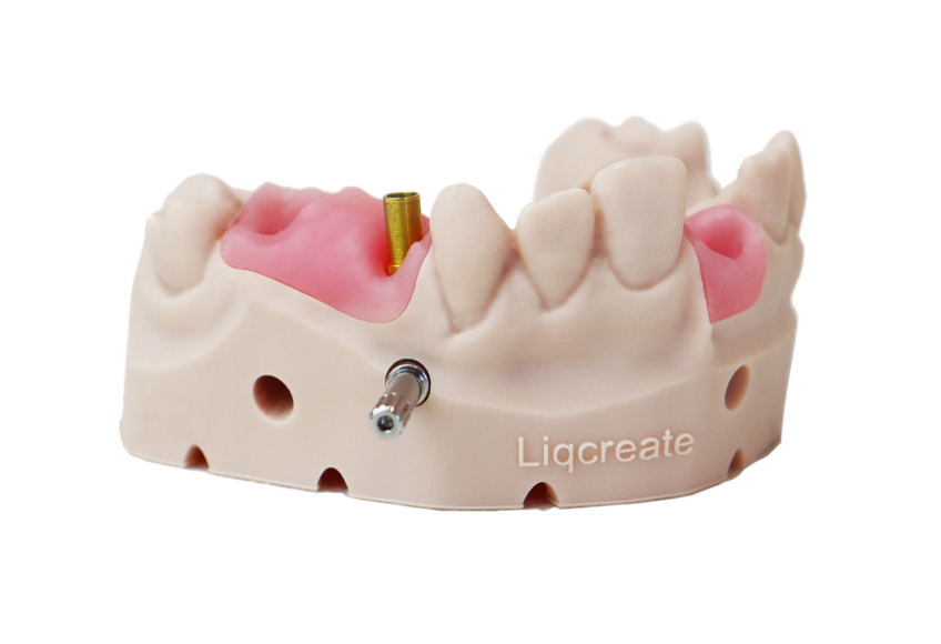 Gingiva Mask Dental 3Dprinting resin for gumlike model