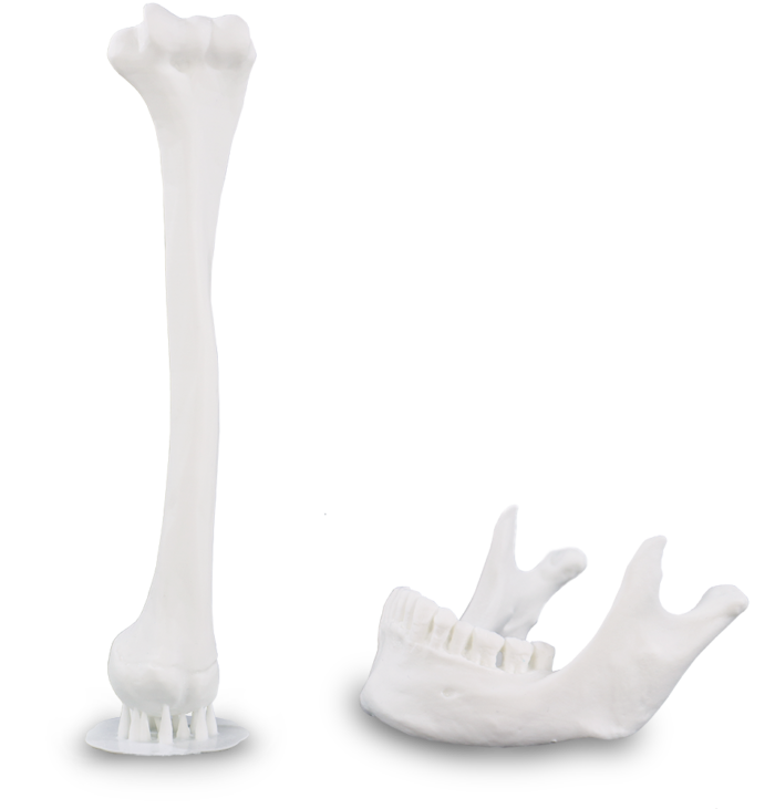 Liqcreate photopolymer resin engineering dental jewelry flex tough strong composite elastic flexible elastomer low-odor Premium white