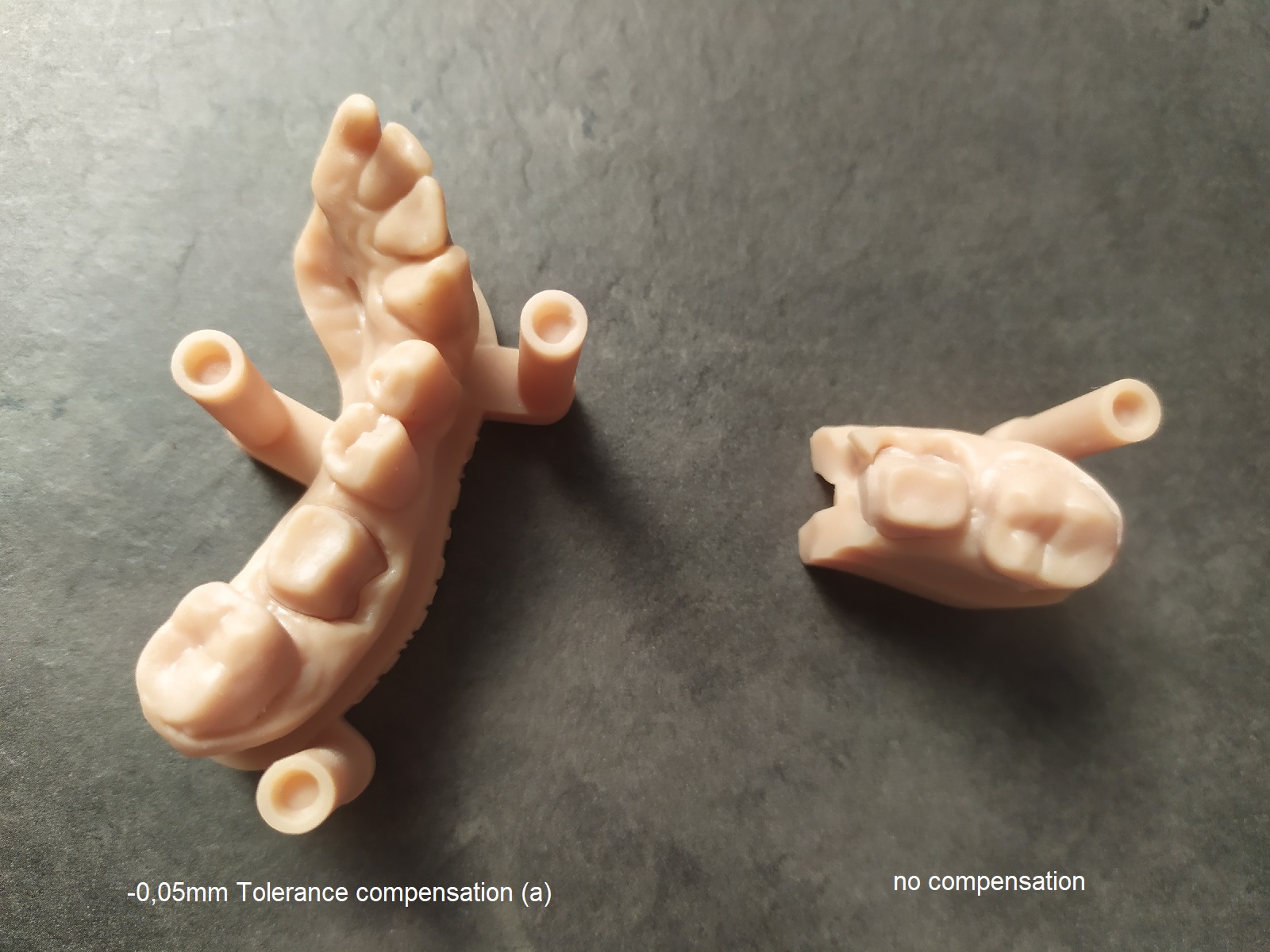 dental 3D-printing resin anycubic photon m5s elegoo saturn 3 liqcreate dentistry premium model dental model pro grey beige